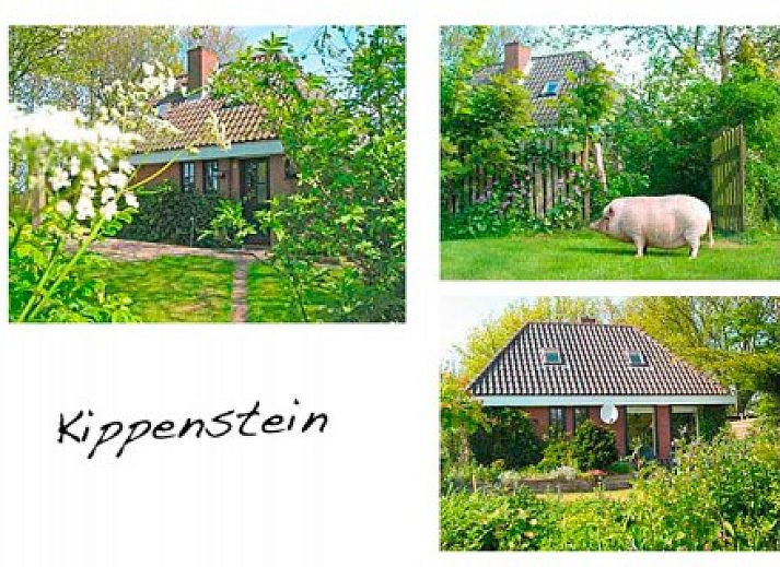 Verblijf 010415 - Vakantiewoning Texel - De Baronie