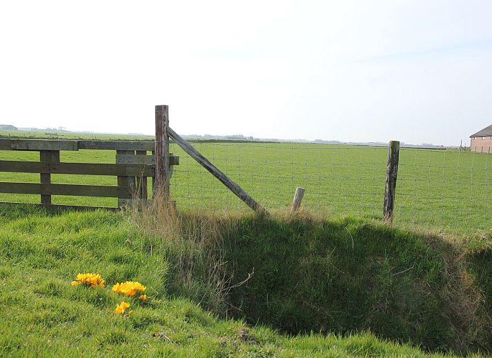 Unterkunft 0104196 - Ferienhaus Texel - Tempelier 39