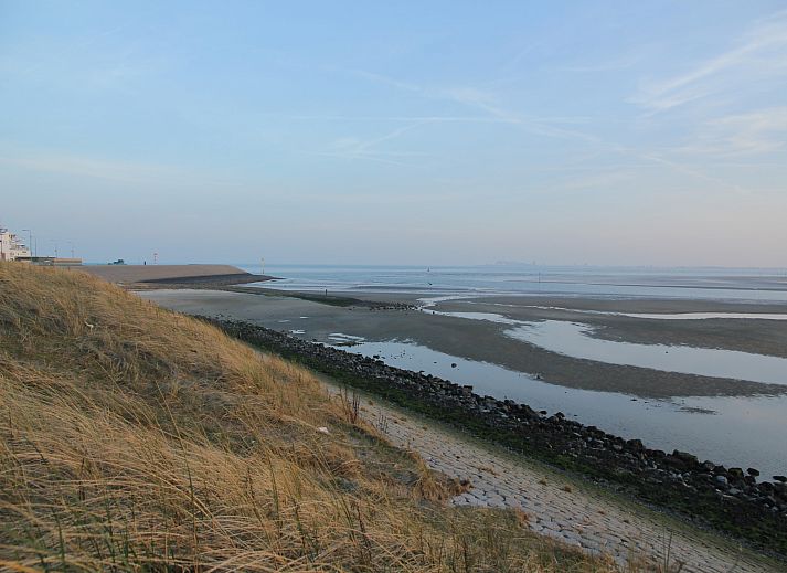 Unterkunft 0104196 - Ferienhaus Texel - Tempelier 39