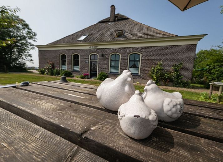 Guest house 0104205 - Holiday property Texel - Camping de Tesselse Kamping