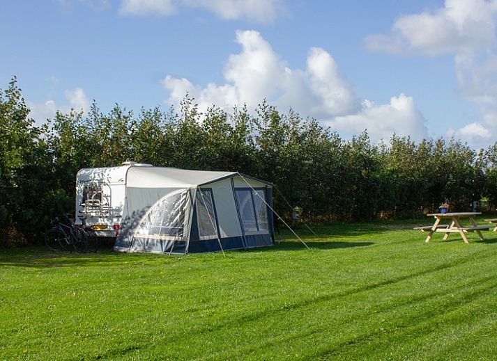 Guest house 0104205 - Holiday property Texel - Camping de Tesselse Kamping