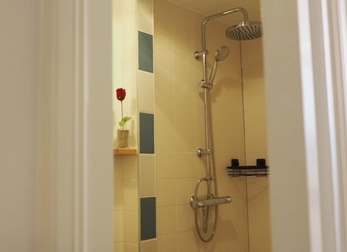 Guest house 0104226 - Holiday property Texel - B&B Bureau Warmoesstraat