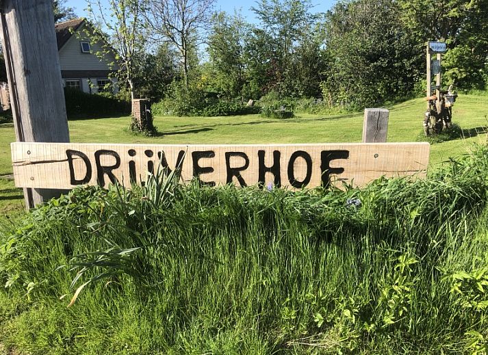 Vacation home 5 Persoons in Den Burg Texel with charming terrace and green surroundings.