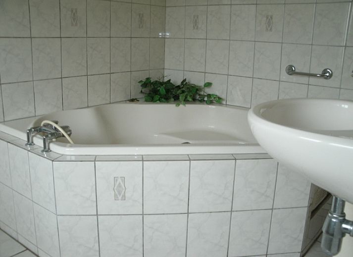 Guest house 010453 - Bungalow Texel - De Kikker