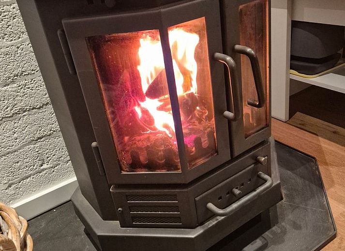 Guest house 010461 - Holiday property Texel - Vakantiehuis in Den Burg mit Möblierter Terrasse