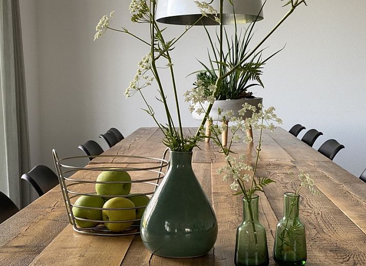 Unterkunft 0104738 - Ferienhaus Texel - Villa Nieuw Leven Texel 