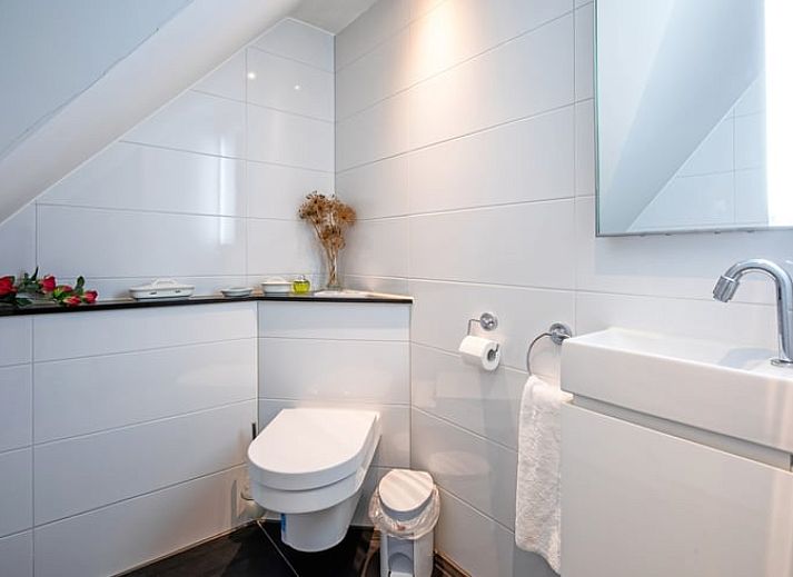 Unterkunft 010479 - Ferienhaus Texel - Huisje in Den Burg