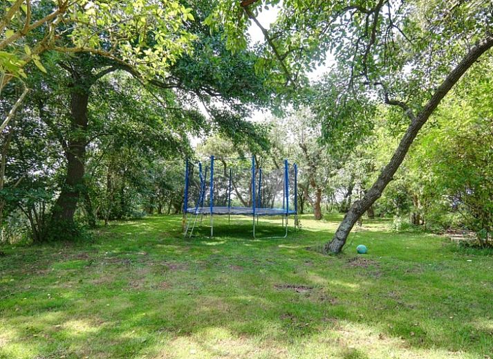 Unterkunft 0105101 - Ferienhaus Texel - Voorhuis