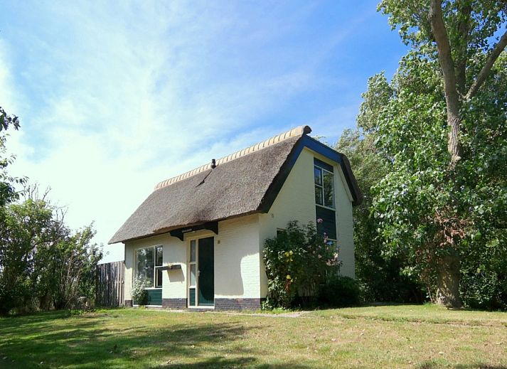 Unterkunft 0105102 • Ferienhaus Texel • Nieuwegrachtje 