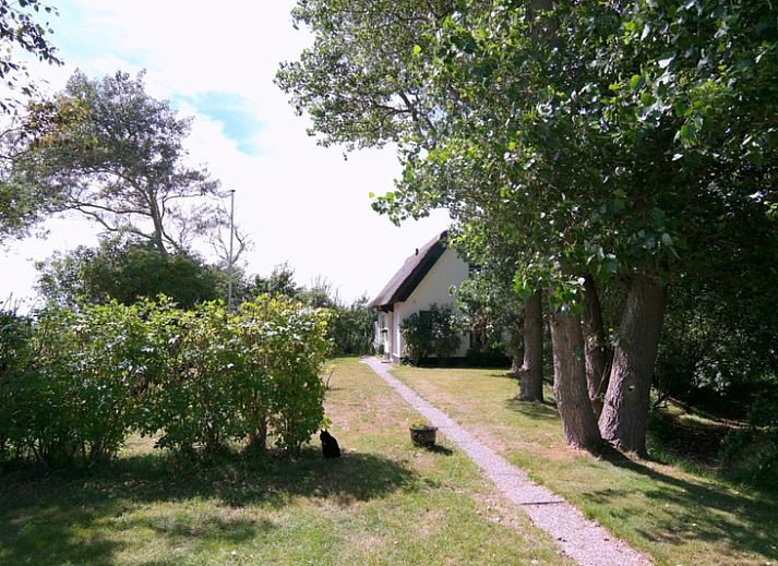 Unterkunft 0105102 - Ferienhaus Texel - Nieuwegrachtje
