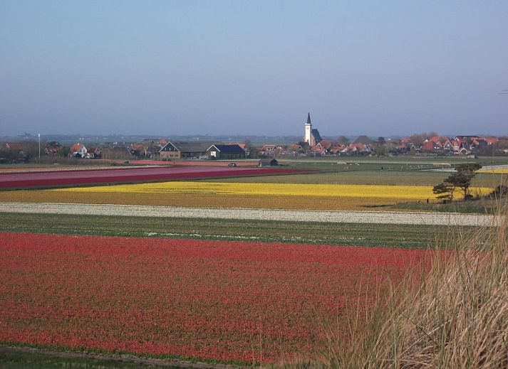 Guest house 0105107 - Holiday property Texel - De Vigilant