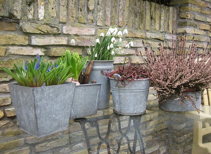 Guest house 010510 - Bungalow Texel - Lage Achterom 16