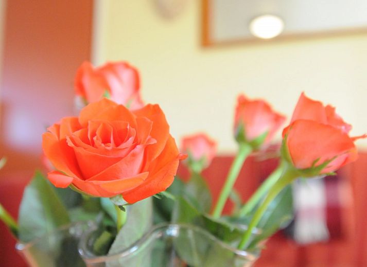 Unterkunft 010514 - Appartement Texel - Anja Hoeve Texel