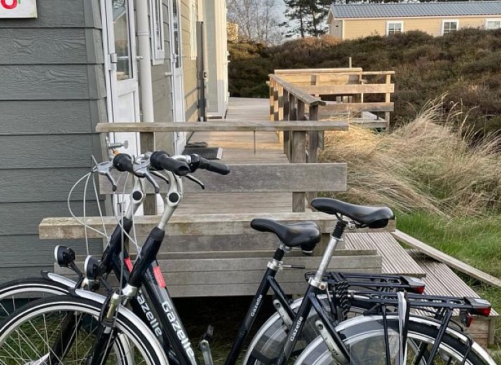 Gezellige woonkamer van chalet Spreeuw88 in Den Hoorn Texel met uitzicht op de natuur.