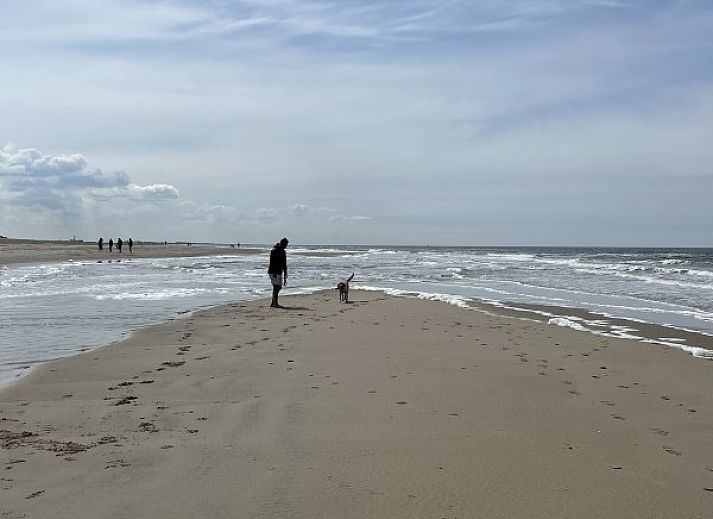 Guest house 0105187 - Chalet Texel - Casa Storno
