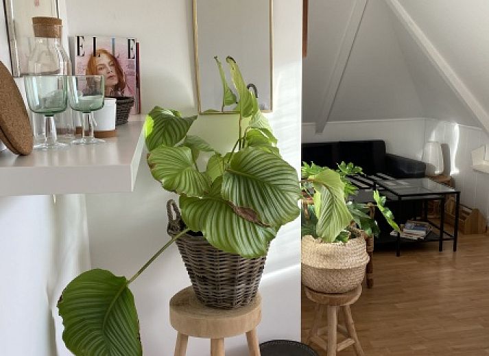 Stilvolle Sitzecke in Double Studio 2/3, Den Hoorn, Texel mit moderner Dekoration und Kunstwerken an der Wand.