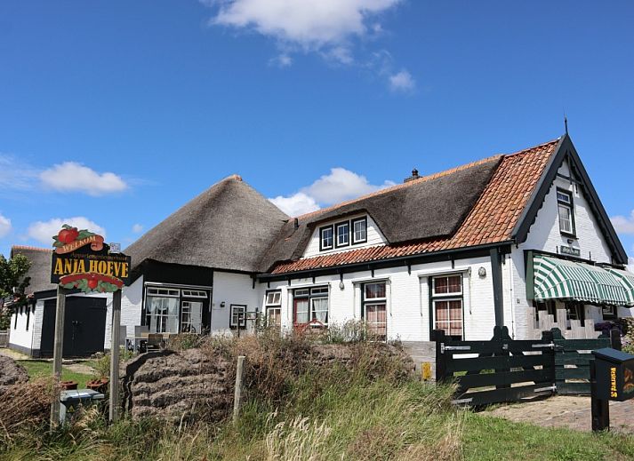 Charmantes Apartment Yellow in Den Hoorn, Texel, Ferienhaus mit Reetdach, umgeben von Natur und Ruhe auf den Watteninseln.
