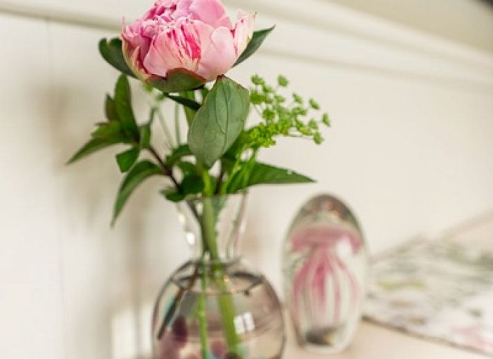 Rustieke Pipowagen Johanneshoeve op Texel, omgeven door natuur en een picknicktafel.
