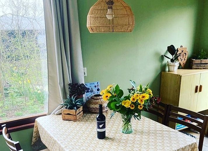 Ferienhaus Vogelsand in Den Hoorn Texel mit gruener Umgebung und Holzfassade.