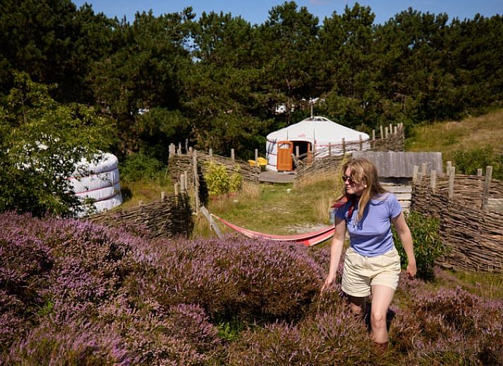 Verblijf 010560 • Vakantiewoning Texel • Vakantiehuisje in Den Hoorn