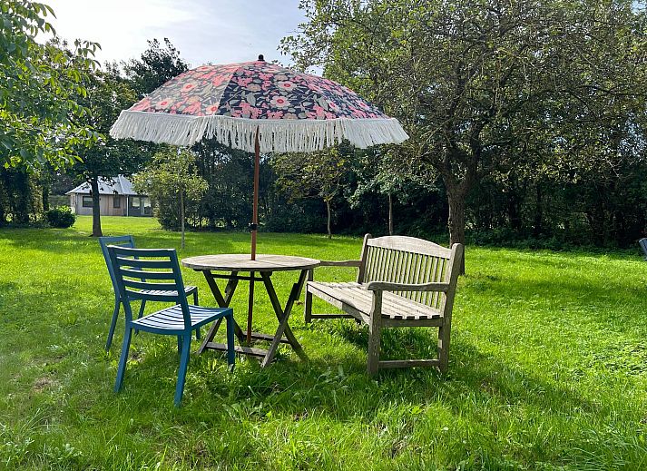 Guest house 010561 - Holiday property Texel - 't Veldje