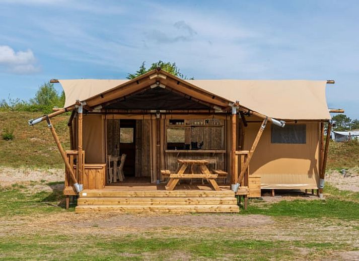 Guest house 010599 - Holiday property Texel - Safari Lodge