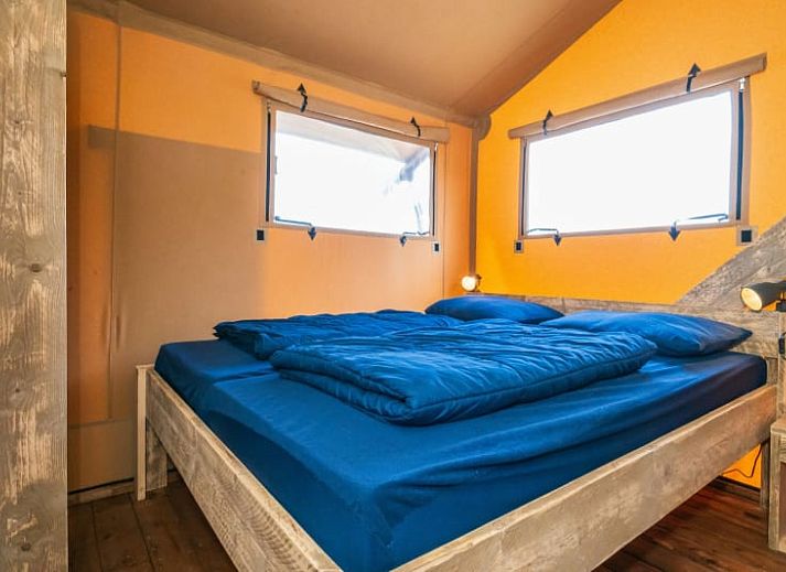 Guest house 010599 - Holiday property Texel - Safari Lodge