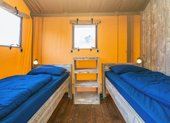 Guest house 010599 - Holiday property Texel - Safari Lodge