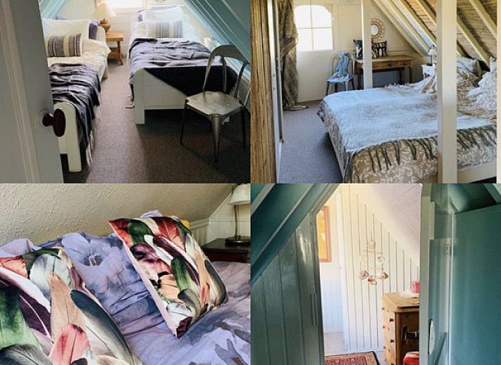 Unterkunft 0106105 - Ferienhaus Texel - t Kaaps Huussie