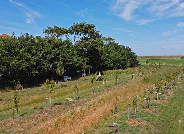 Seitenansicht des Ferienhauses in Oosterend, Texel mit gemuetlicher Sitzecke im Freien.