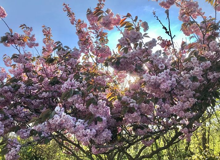 Modernes Interieur des Ferienhauses in Oosterend, Texel mit offener Kueche und Essbereich.