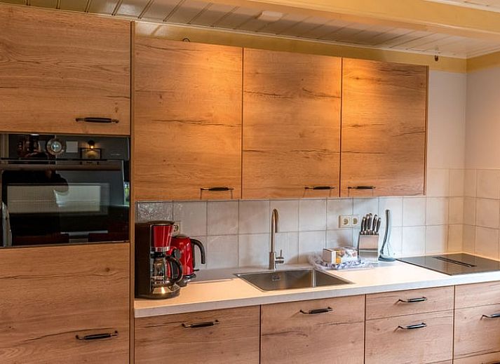 Charming Holiday Home in Oosterend on Texel with thatched roof and green surroundings.