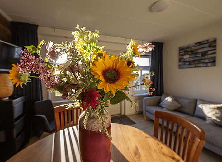 Aerial view of Holiday home in Oosterend, Texel. Beautiful view of sea and nature around the vacation home.