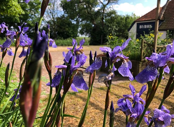 Front of Holiday home in Oosterend, Texel with sitting area. Charming vacation home on the Wadden Islands.