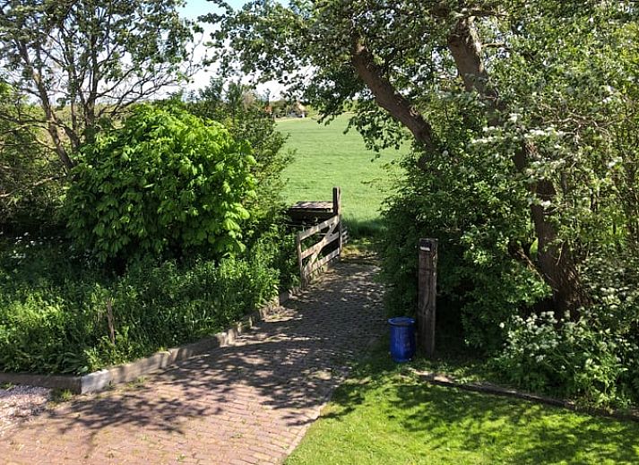 Cozy living room in Holiday home in Oosterend, Texel. Comfortable vacation home on the Wadden Islands.