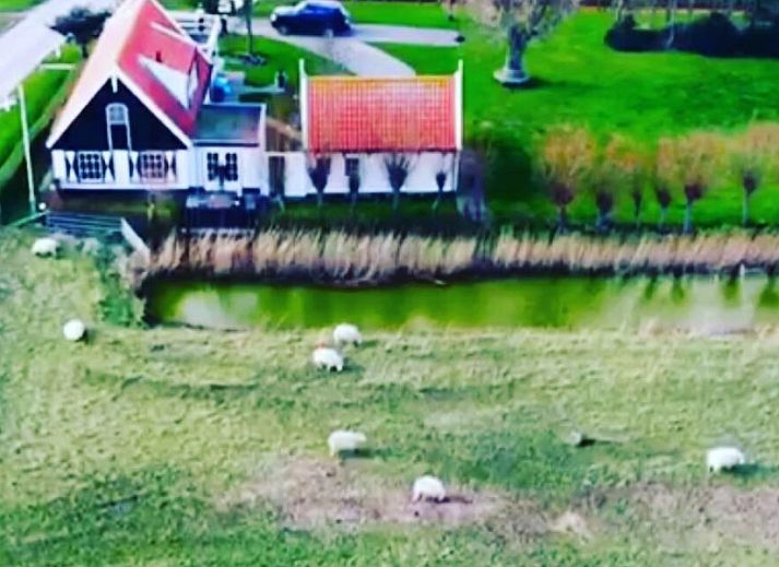 Unterkunft 0106129 - Ferienhaus Texel - 't Kaapshuussie