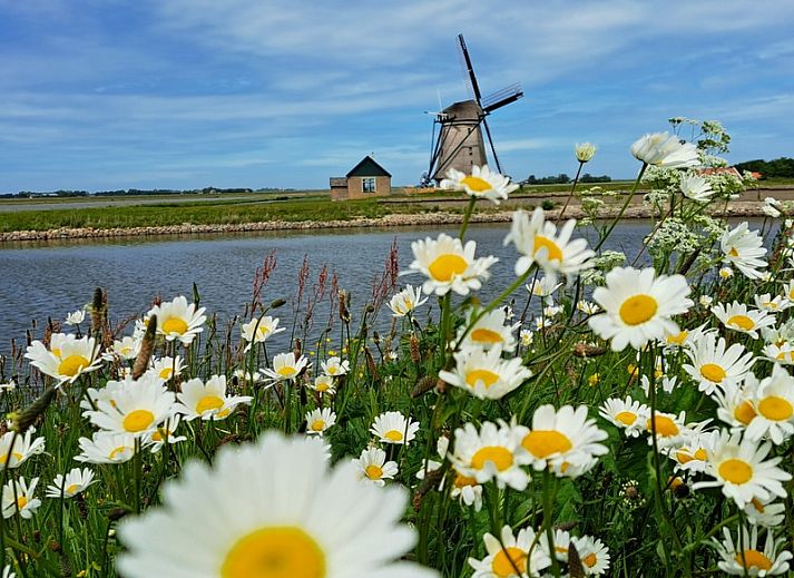 Unterkunft 010619 - Ferienhaus Texel - Caravan met voortent
