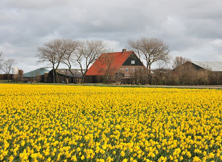 Gemuetliches Wohnzimmer des Ferienhauses Noordstar in Oosterend, Texel, mit komfortabler Sitzecke und modernem Mobiliar.