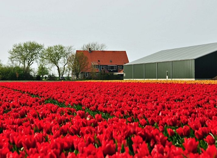 Gemuetliches Wohnzimmer des Ferienhauses Noordstar in Oosterend, Texel, mit komfortabler Sitzecke und modernem Mobiliar.