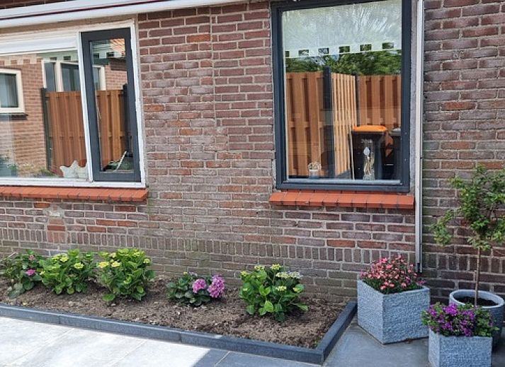 Schoene Umgebung des Ferienhauses Noordstar in Oosterend, Texel, mit weiten Feldern voller gelber Blumen.
