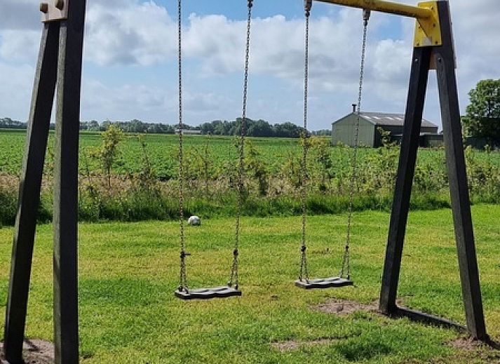 Schoene Umgebung des Ferienhauses Noordstar in Oosterend, Texel, mit weiten Feldern voller gelber Blumen.