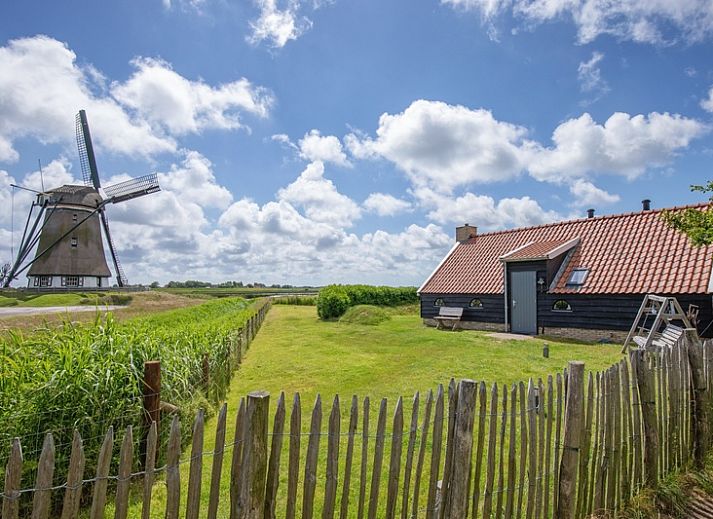 Blick auf die Windmuehle und ZoWad - Muehlenhaus Beaufort, Ferienhaus in Oosterend Texel, umgeben von Natur.