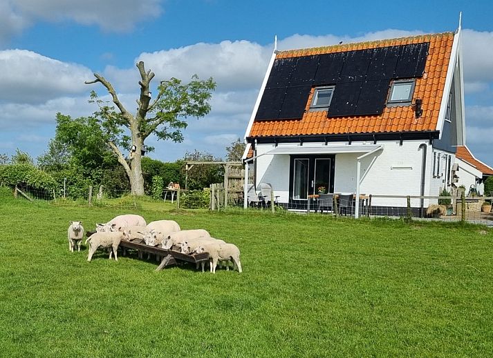 Verblijf 010657 • Vakantiewoning Texel • 't Raadsel