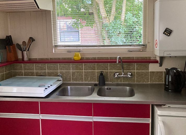 Ferienhaus De Bemes in Oosterend Texel mit gruener Fassade und blumenreichem Garten.