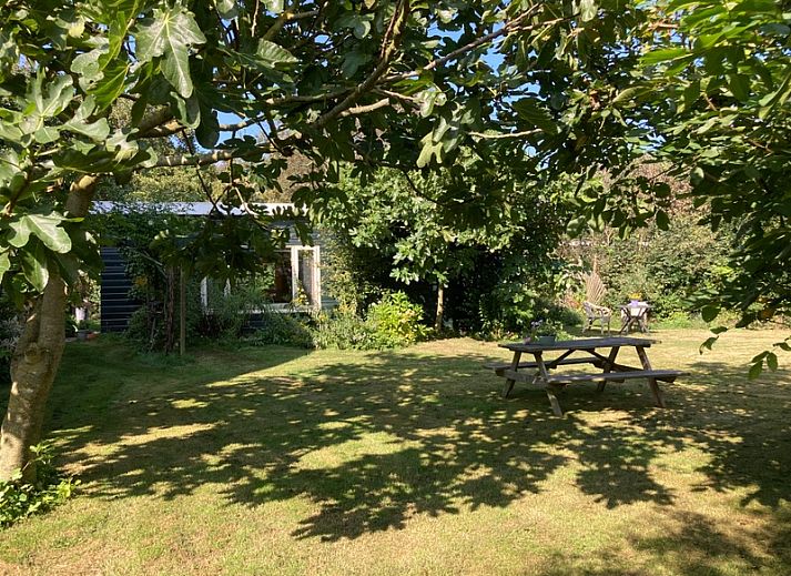 Gemuetliches Wohnzimmer im Ferienhaus De Bemes Oosterend Texel mit bequemen Sofas.
