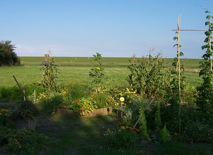 Heller Wohnraum im Ferienhaus De Bemes Oosterend Texel mit Wohnzimmer und Essbereich.