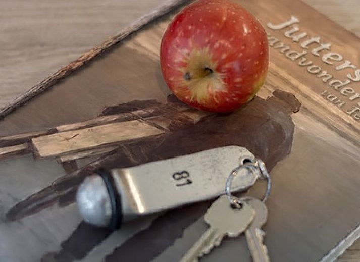 Type II - No. 81 White Wagtail in Oosterend Texel surrounded by green nature.