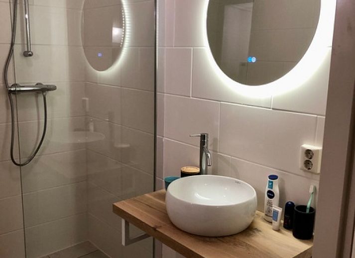 Type II - No. 81 White Wagtail in Oosterend Texel surrounded by green nature.