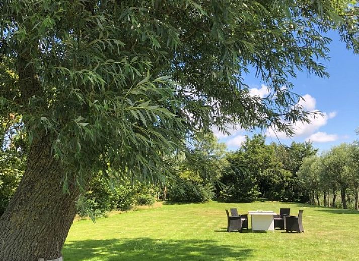 Charming 't Kaaps Huussie vacation home in Oosterend Texel with grazing sheep in the lush surroundings.