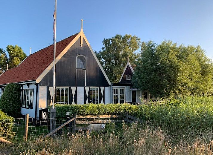 Charming 't Kaaps Huussie vacation home in Oosterend Texel with grazing sheep in the lush surroundings.